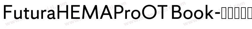 FuturaHEMAProOT Book字体转换